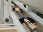 wood waste conveyor lower